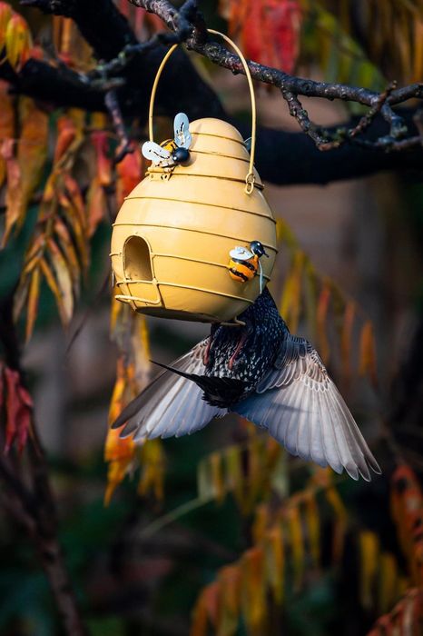 Hand crafted Bird Feeder
